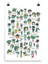 Load image into Gallery viewer, Plant Families Poster
